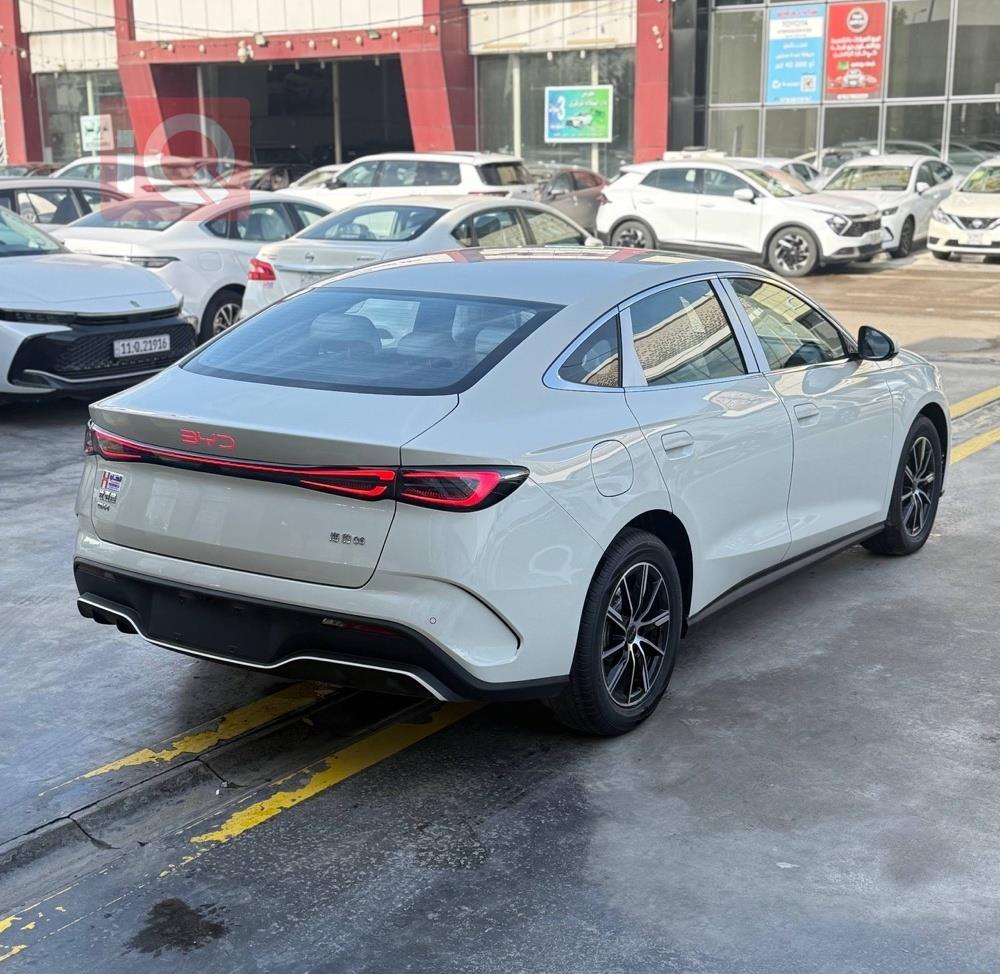 بي واي دي سيل 06 DM-i